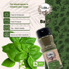 Basil Powder